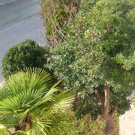 Apartmani Levarda Trogir Zewnętrze zdjęcie